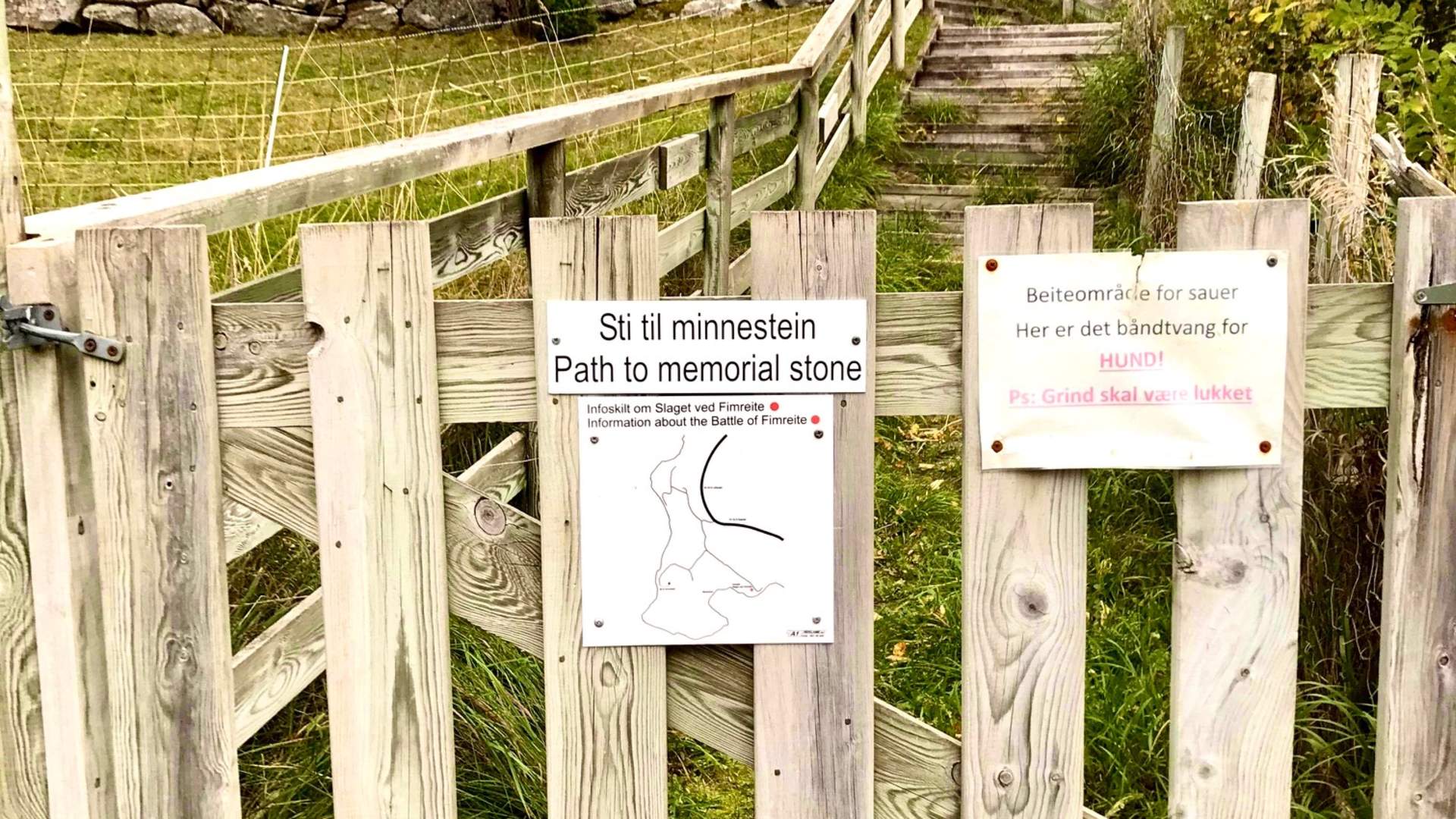 Die Schlacht bei Fimreite 1184