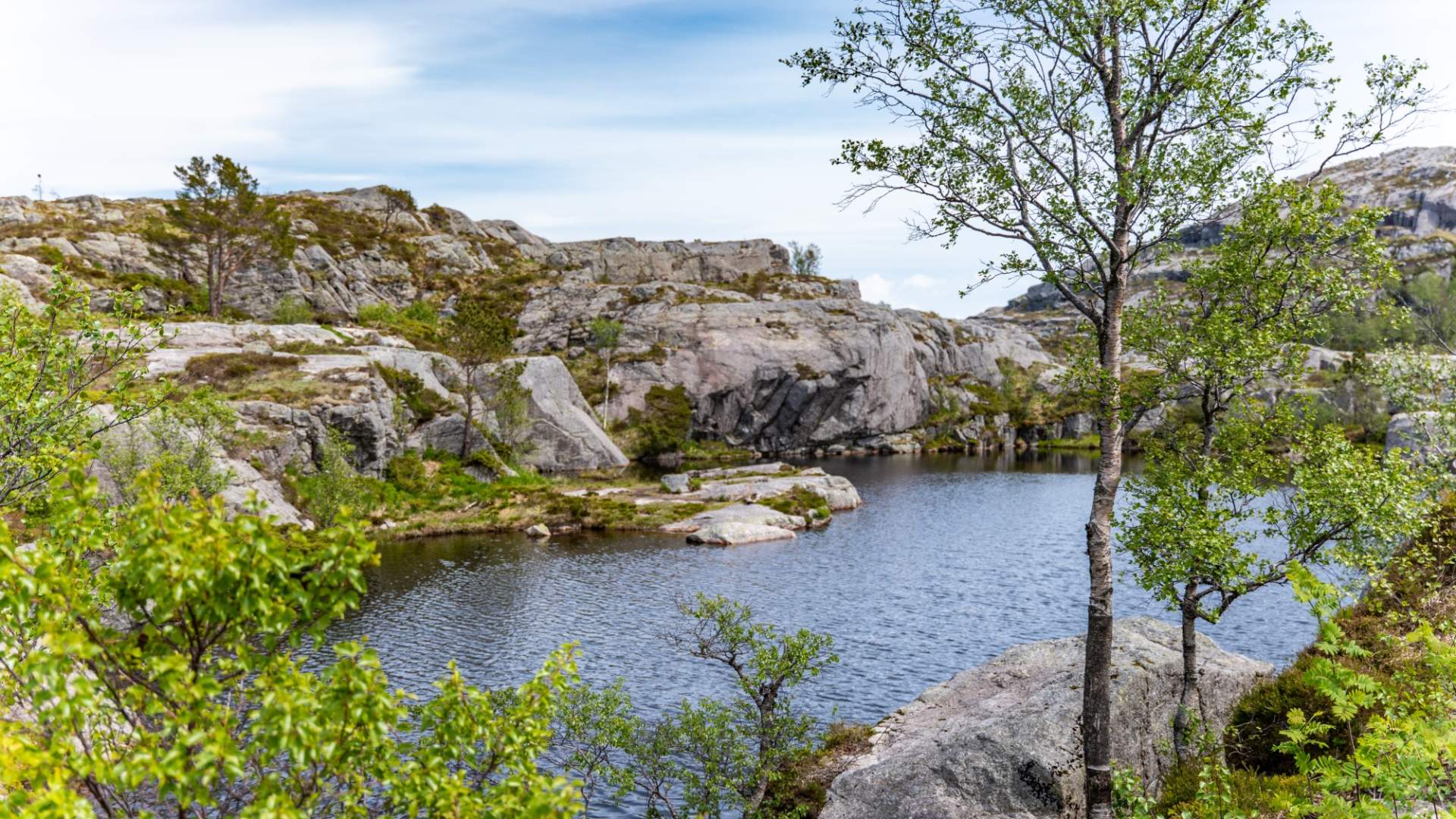Preikestolen Express Bus from Stavanger to Preikestolen Mountain Lodge