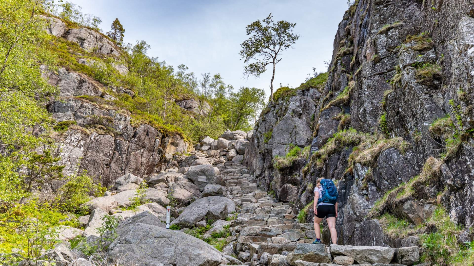 Preikestolen Express Bus from Stavanger to Preikestolen Mountain Lodge