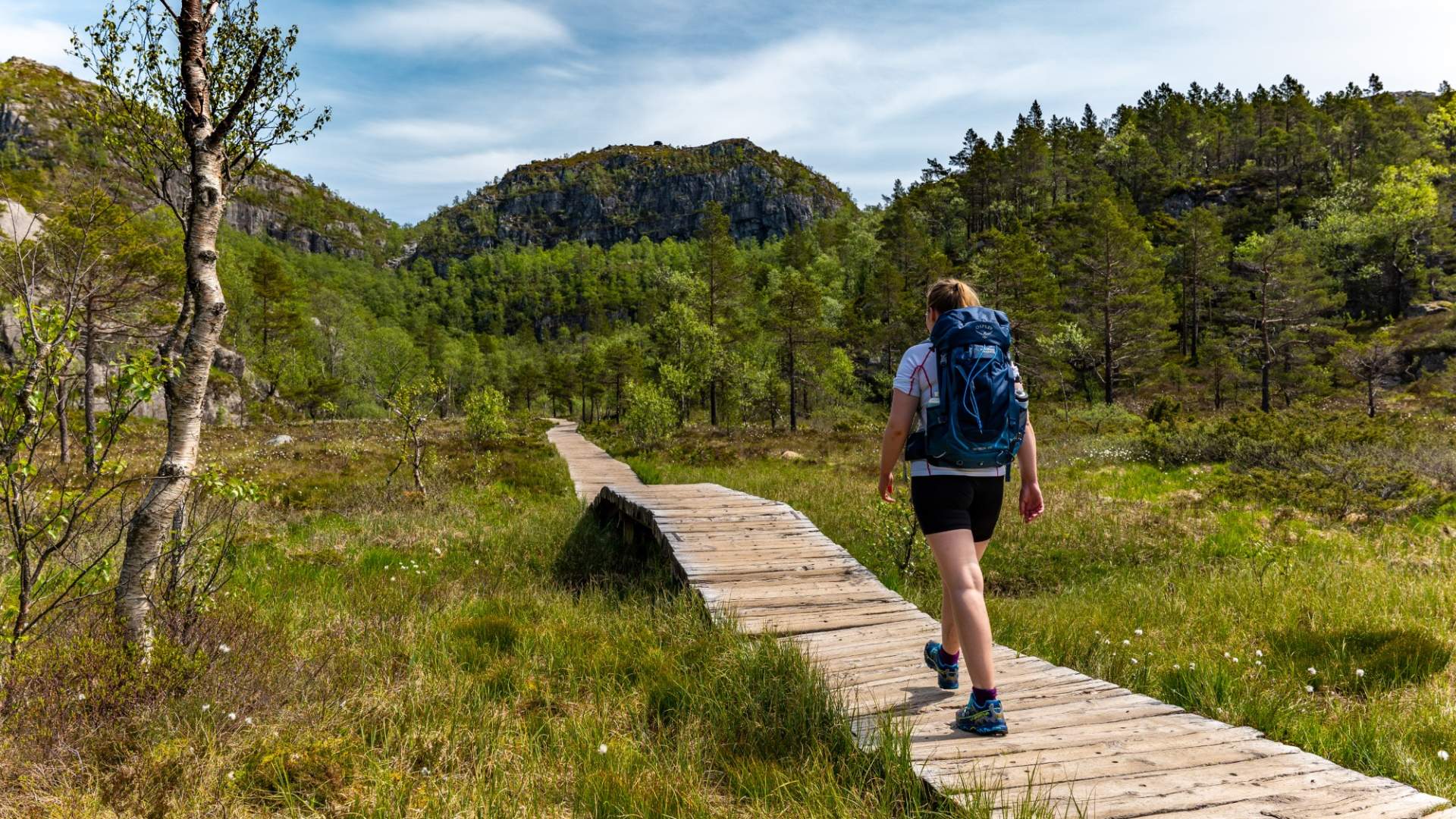 Preikestolen Express Bus from Stavanger to Preikestolen Mountain Lodge
