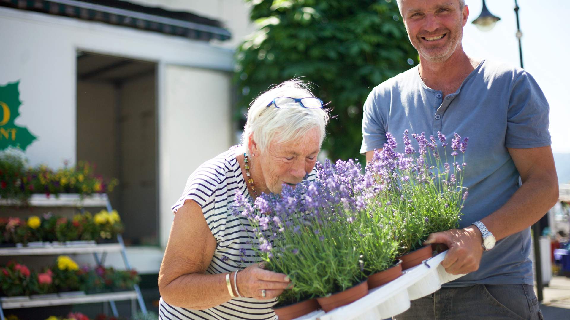 Suldal Tourist Information