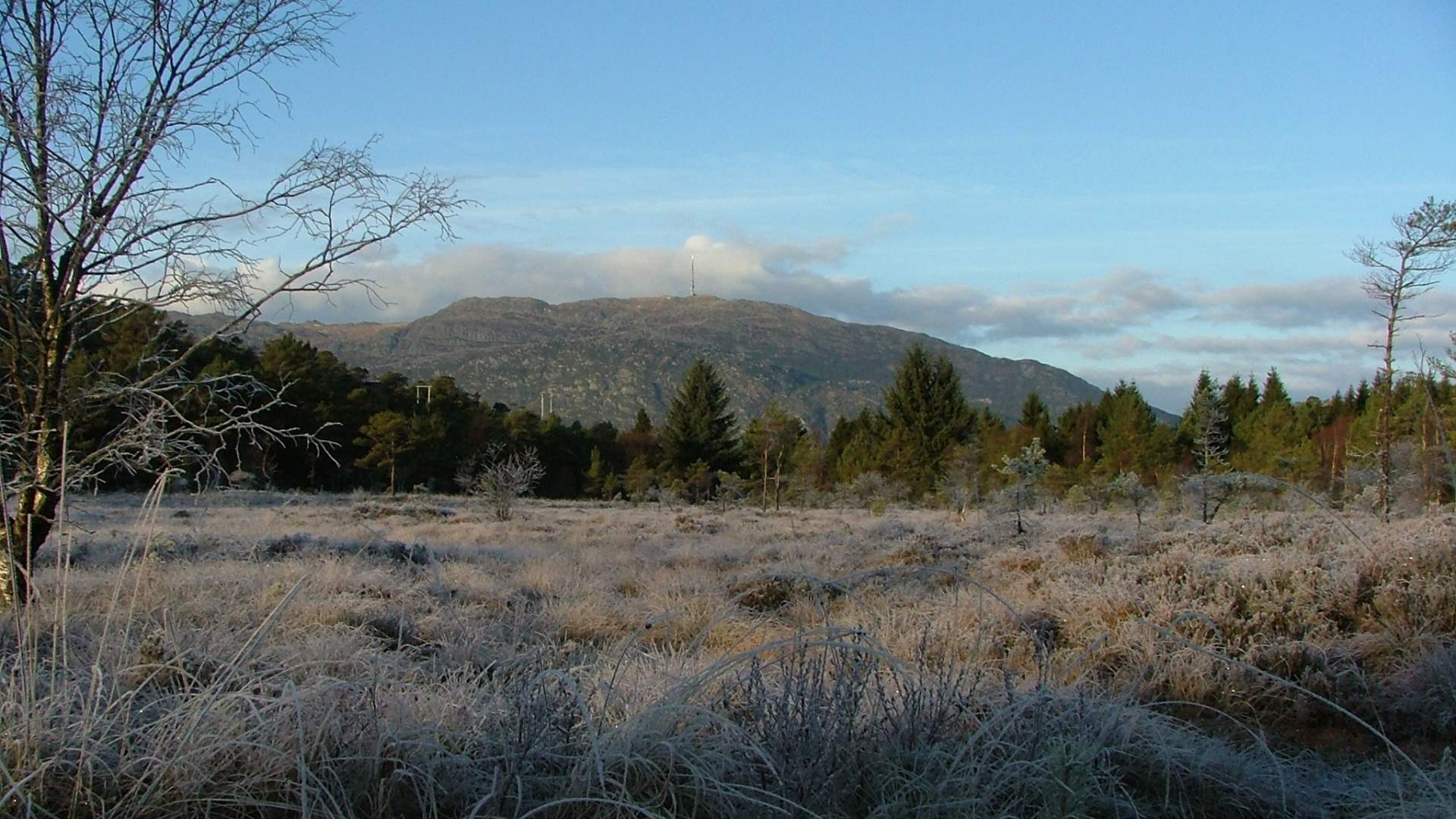 Countryside and Culture Walk at Huglo