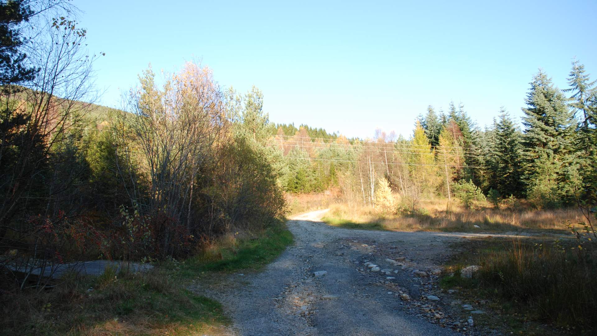 Tursti til Mjelkhaug frå Valen
