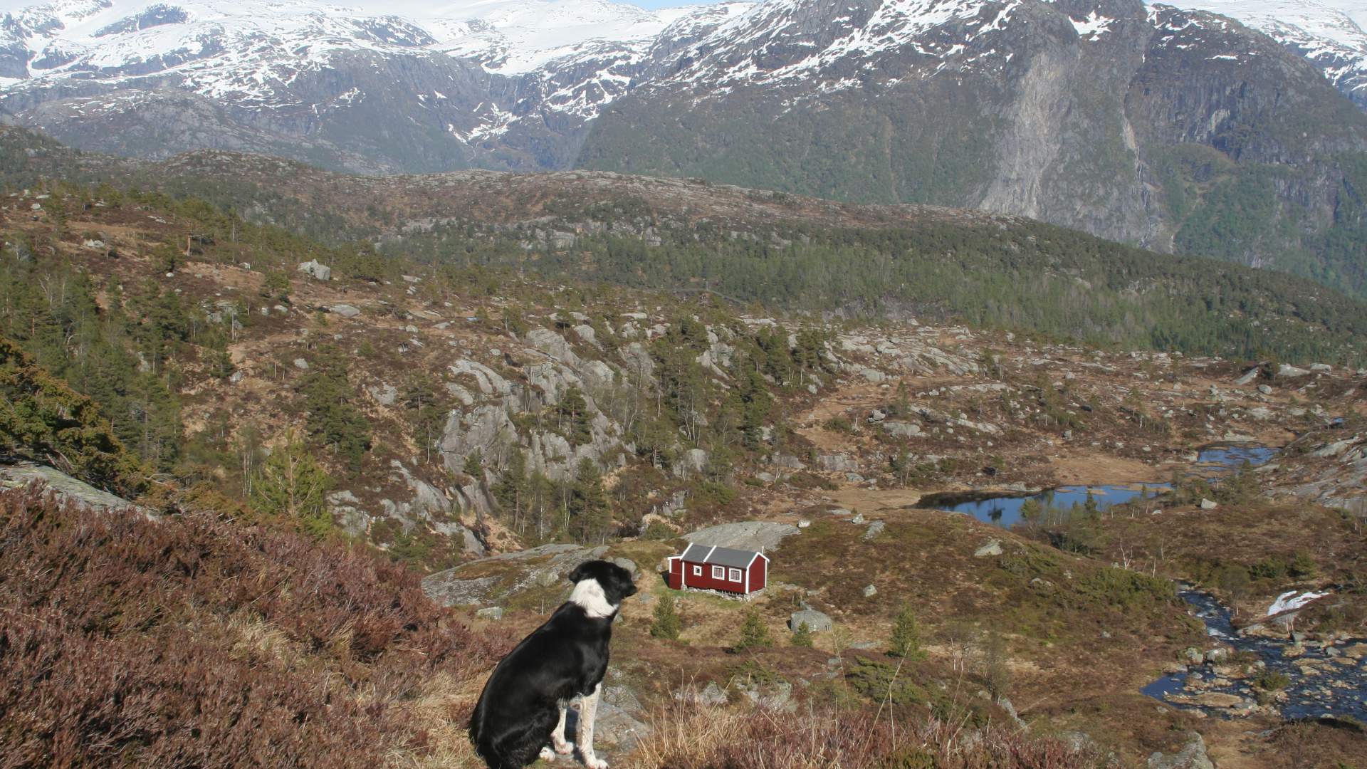Hike to Lake Måvatn