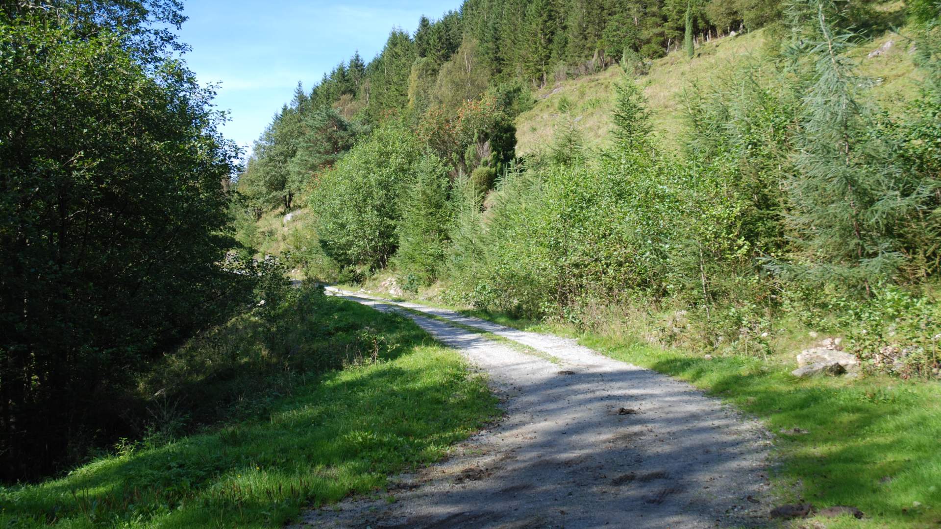 Hike to Tverrfjell from Uskedalen