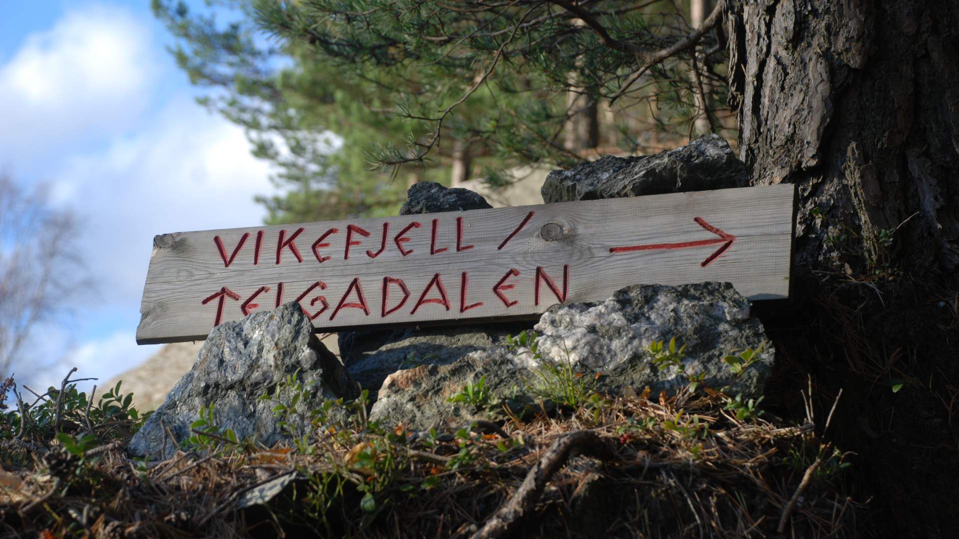 Hike to Vikefjell