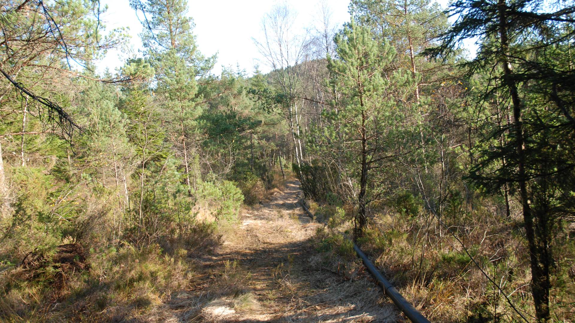 Tursti til Sydnessåta