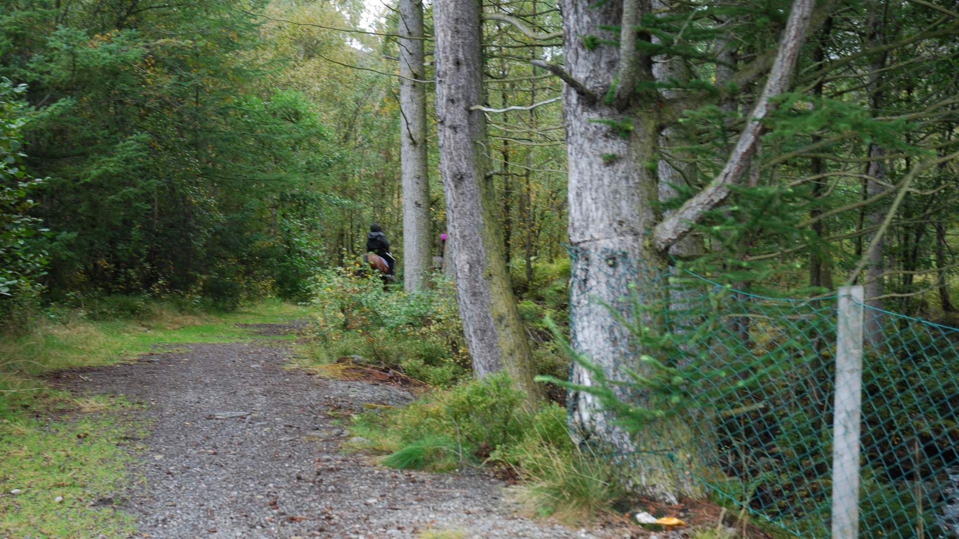 Die Wanderung Søral-loipe, Golfbahn und Husnes-Park