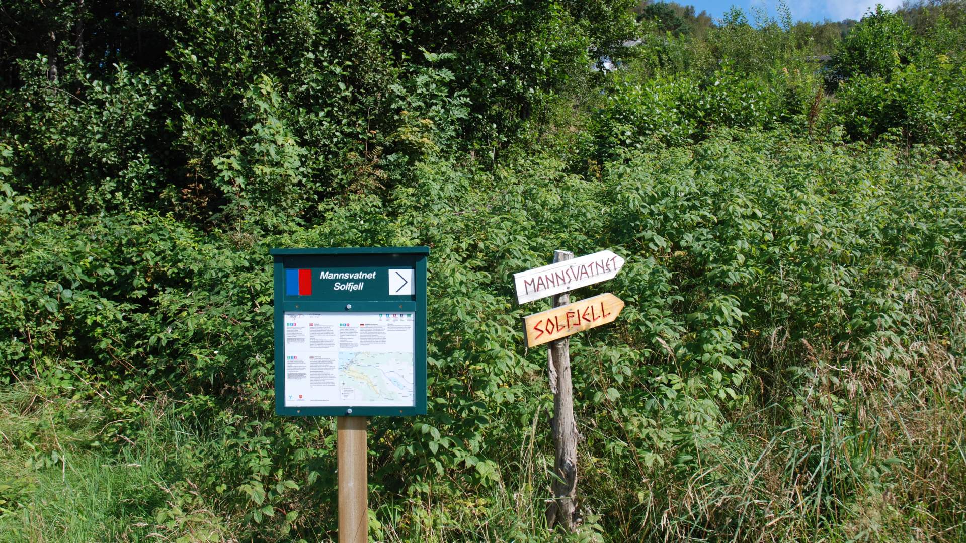 Tursti til Mannsvatnet