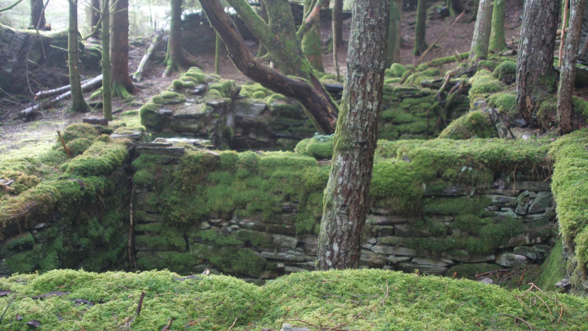 Tursti til Bjellandsnes