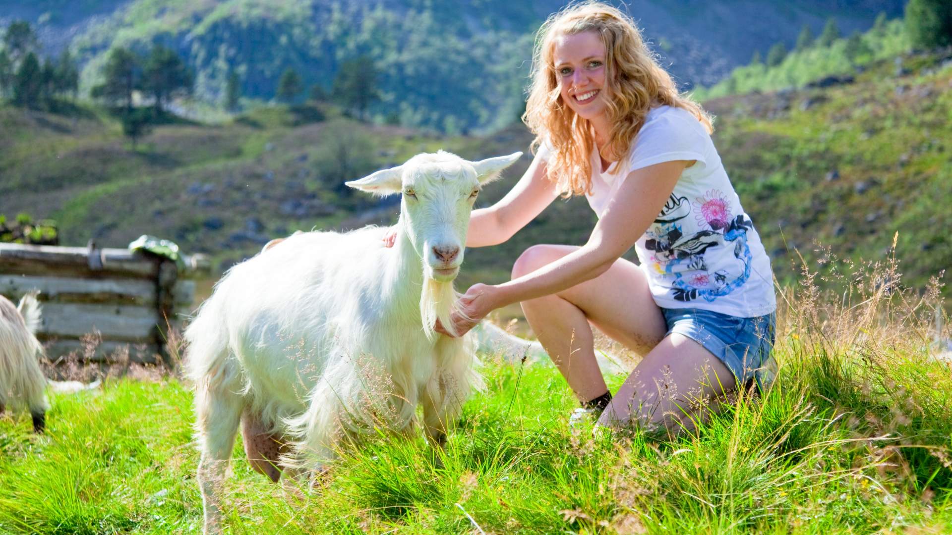 Åkrafjord Adventure