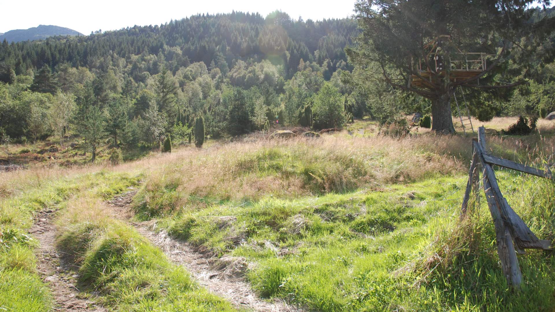 Tursti til Manen frå Uskedalen