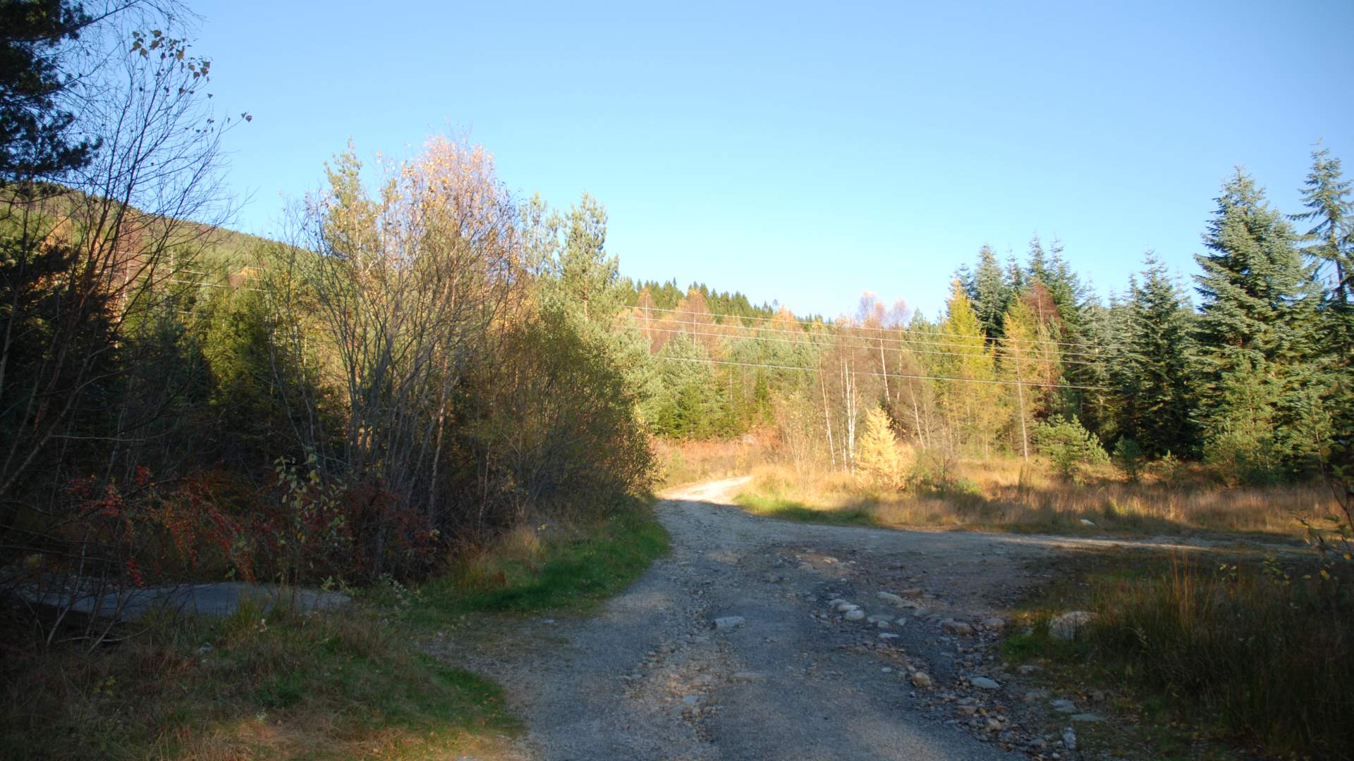 Tursti til Vardhaugselet frå Valen