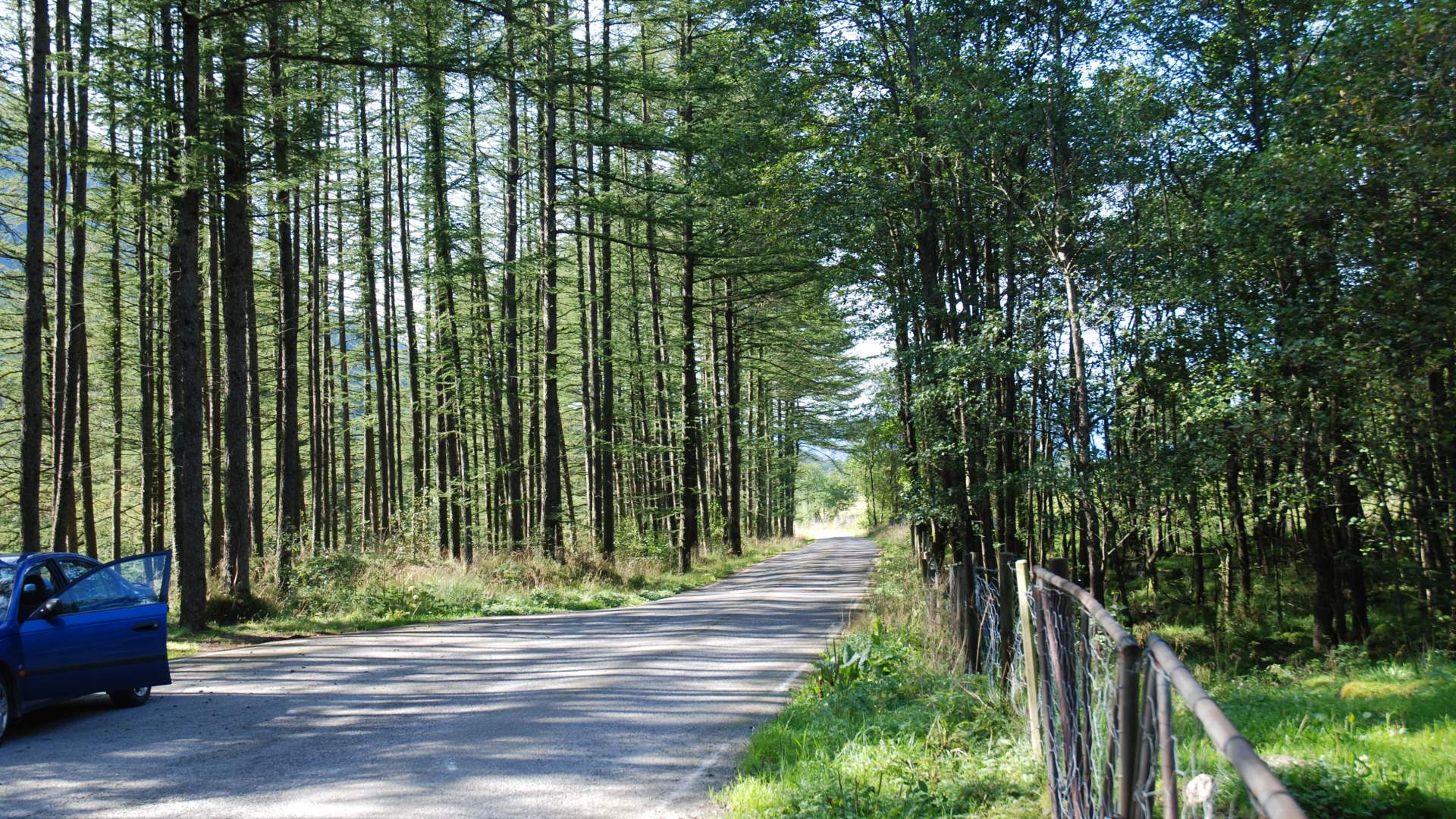 Hike to Tverrfjell from Uskedalen