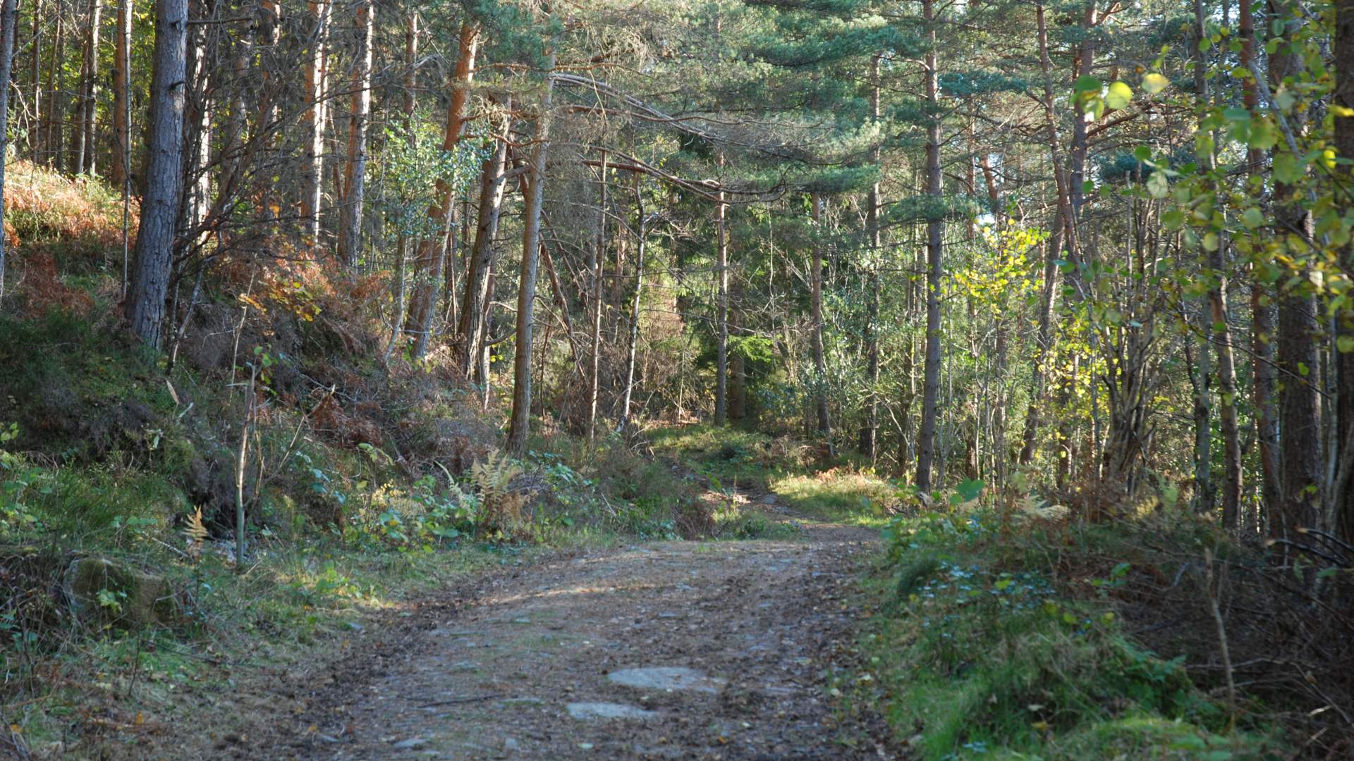 Wanderung nach Landåsen auf Halsnøy