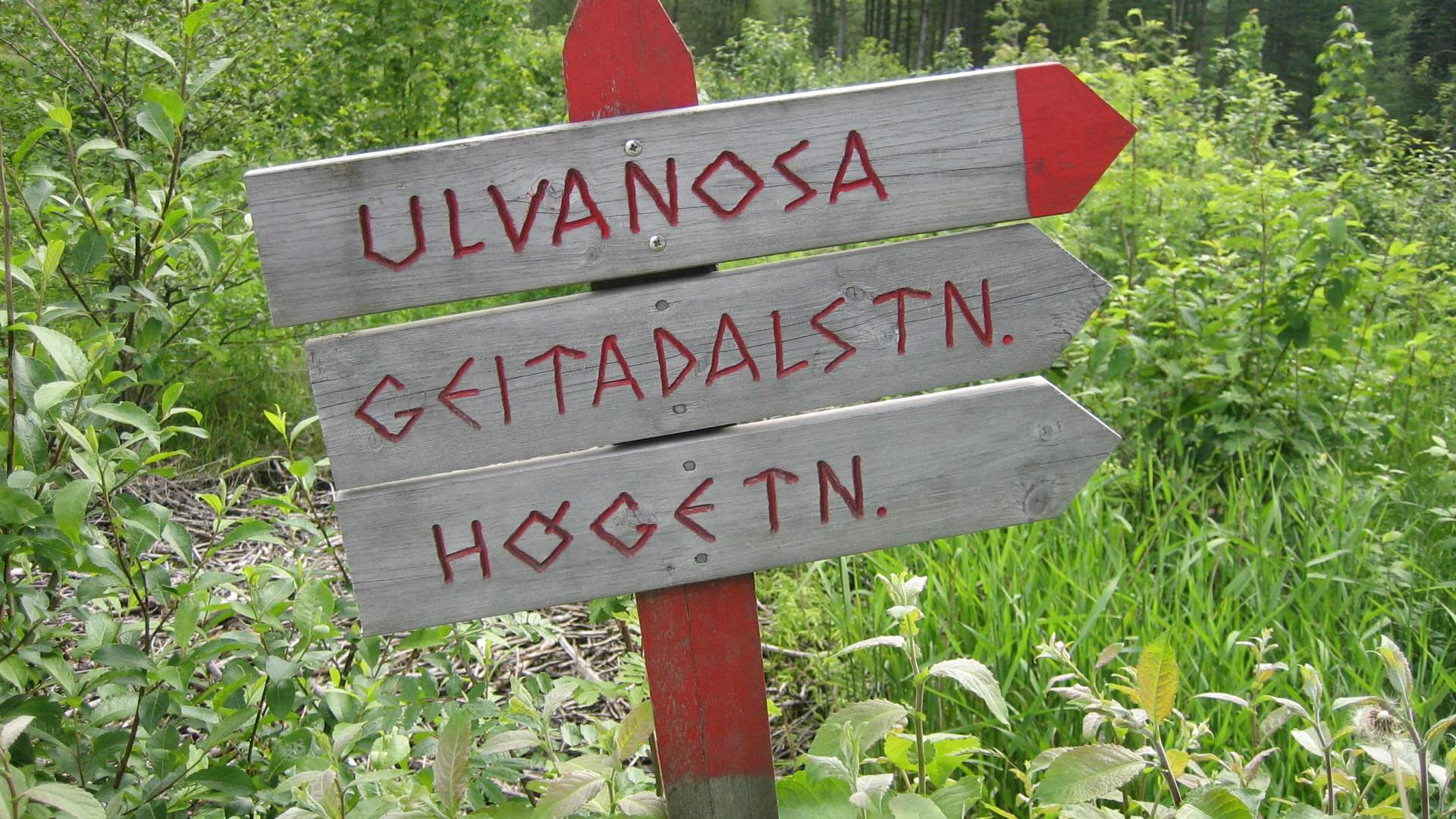 Hike to Ulvanosa from Uskedalen