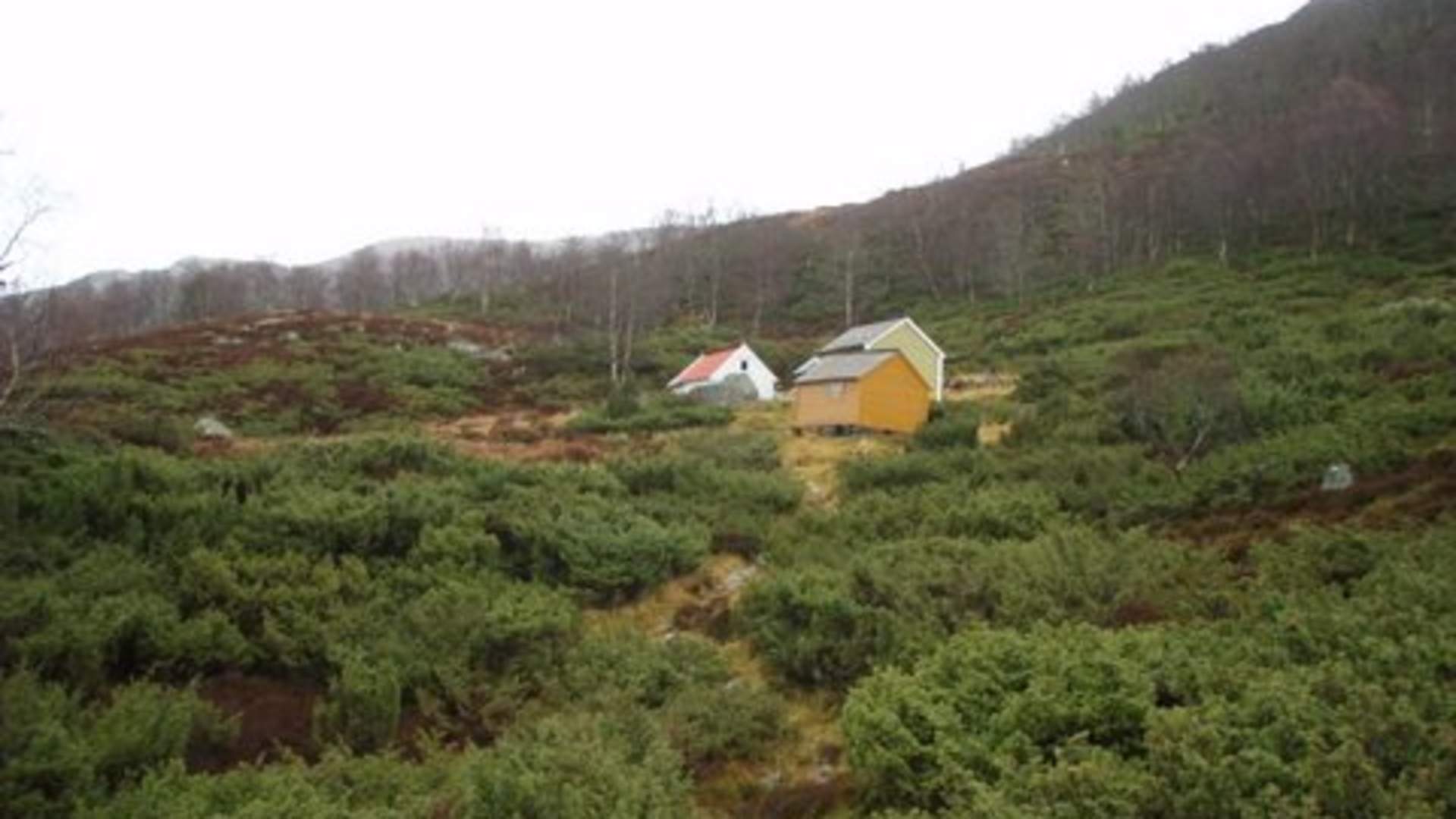 Tursti til Strandasetra