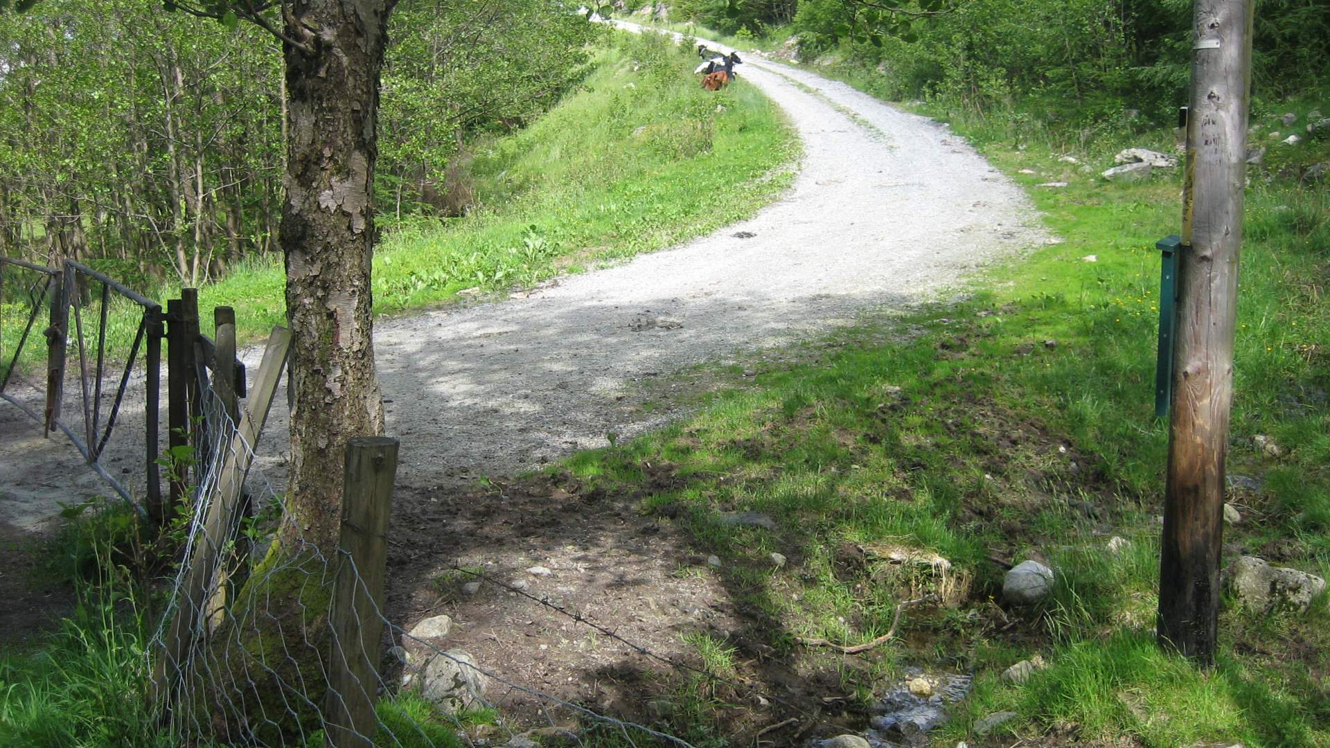 Hike to Tverrfjell from Uskedalen