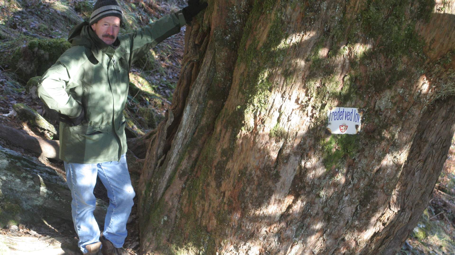 Wanderung zur alten Eibe auf Varaldsøy