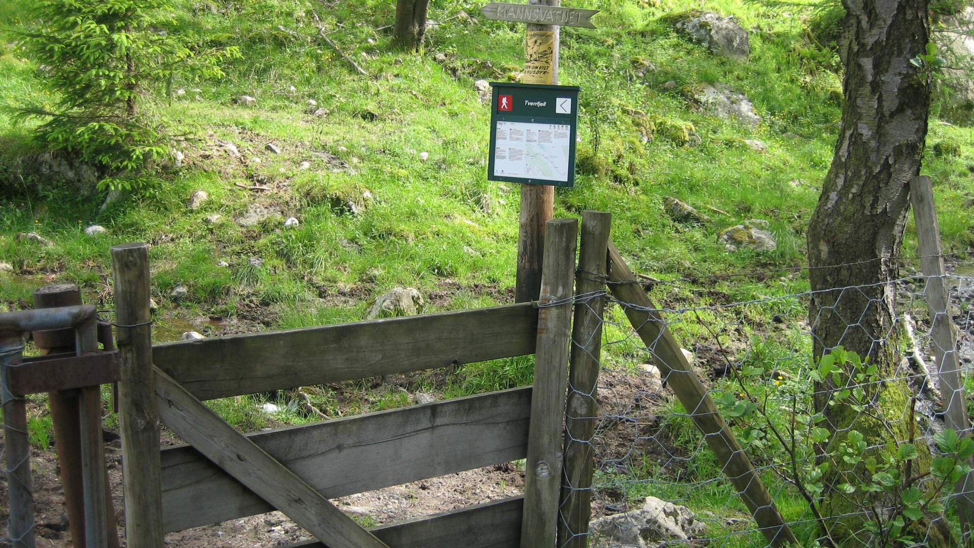 Hike to Tverrfjell from Uskedalen