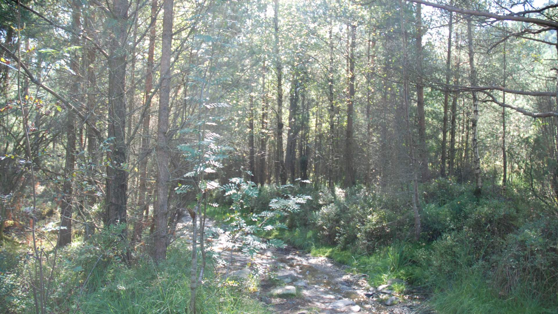 Tursti til Kaldestadåsen frå Husnes