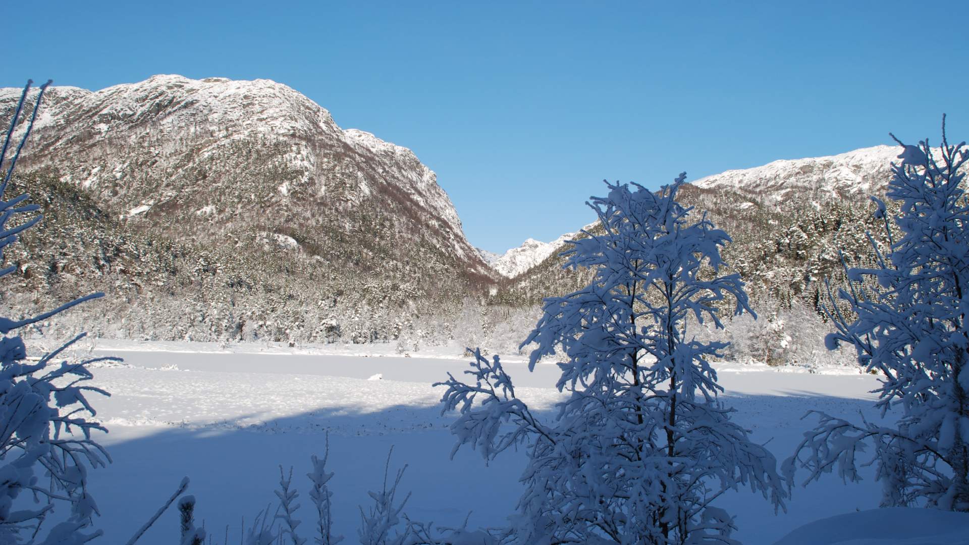 Tursti til lysløypa i Tveitedalen
