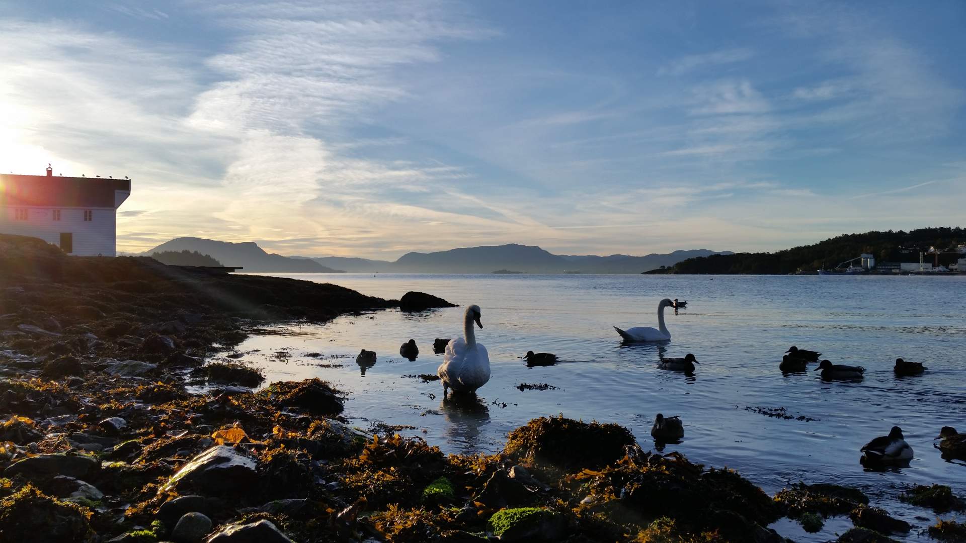 The Milling House at Stord - Møllebua