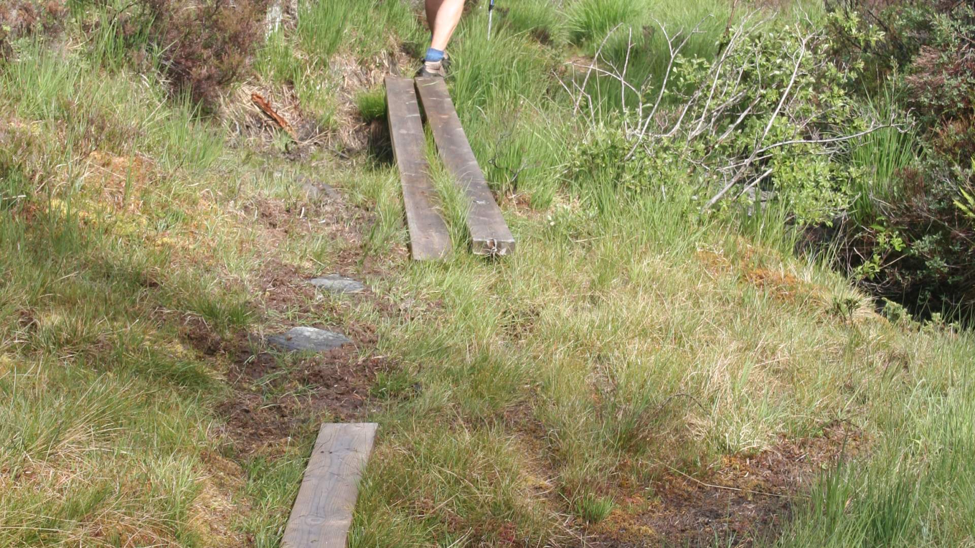 Tur til Sandvikehorga