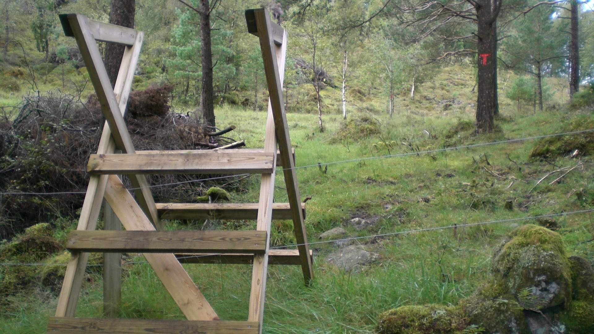 Tursti til Brakhaug og Ørnnipen