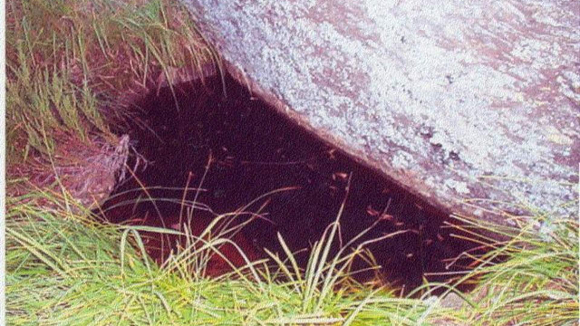 Wanderung nach Tjobergshaugen