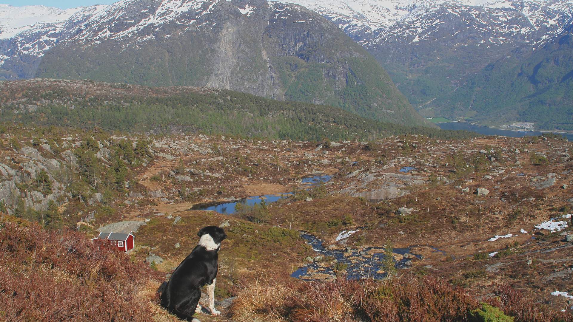 Hike to Lake Måvatn