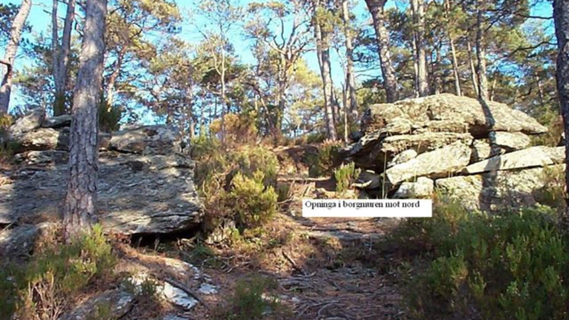 Wanderung nach Tjobergshaugen