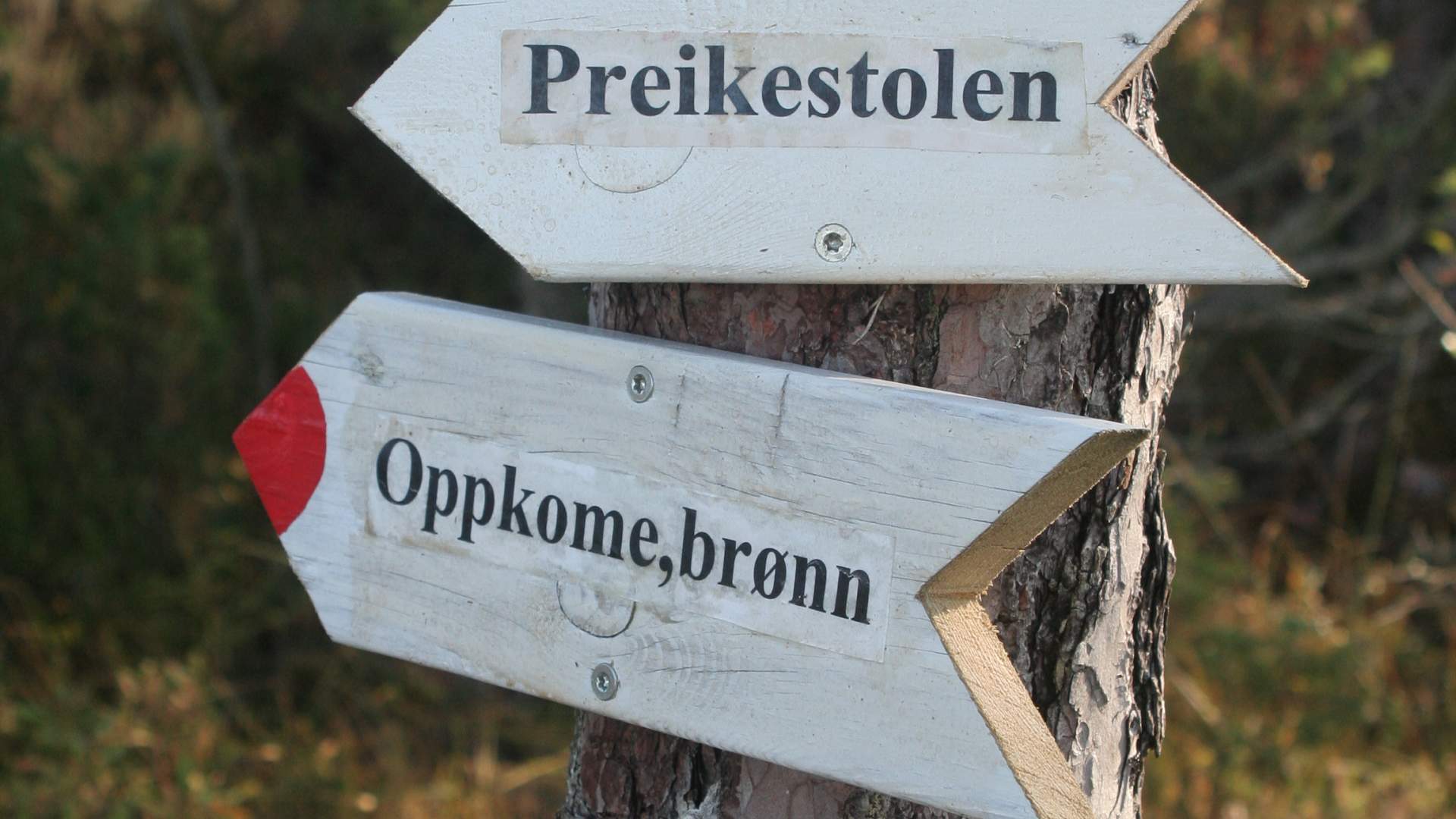 Wanderung nach Tjobergshaugen