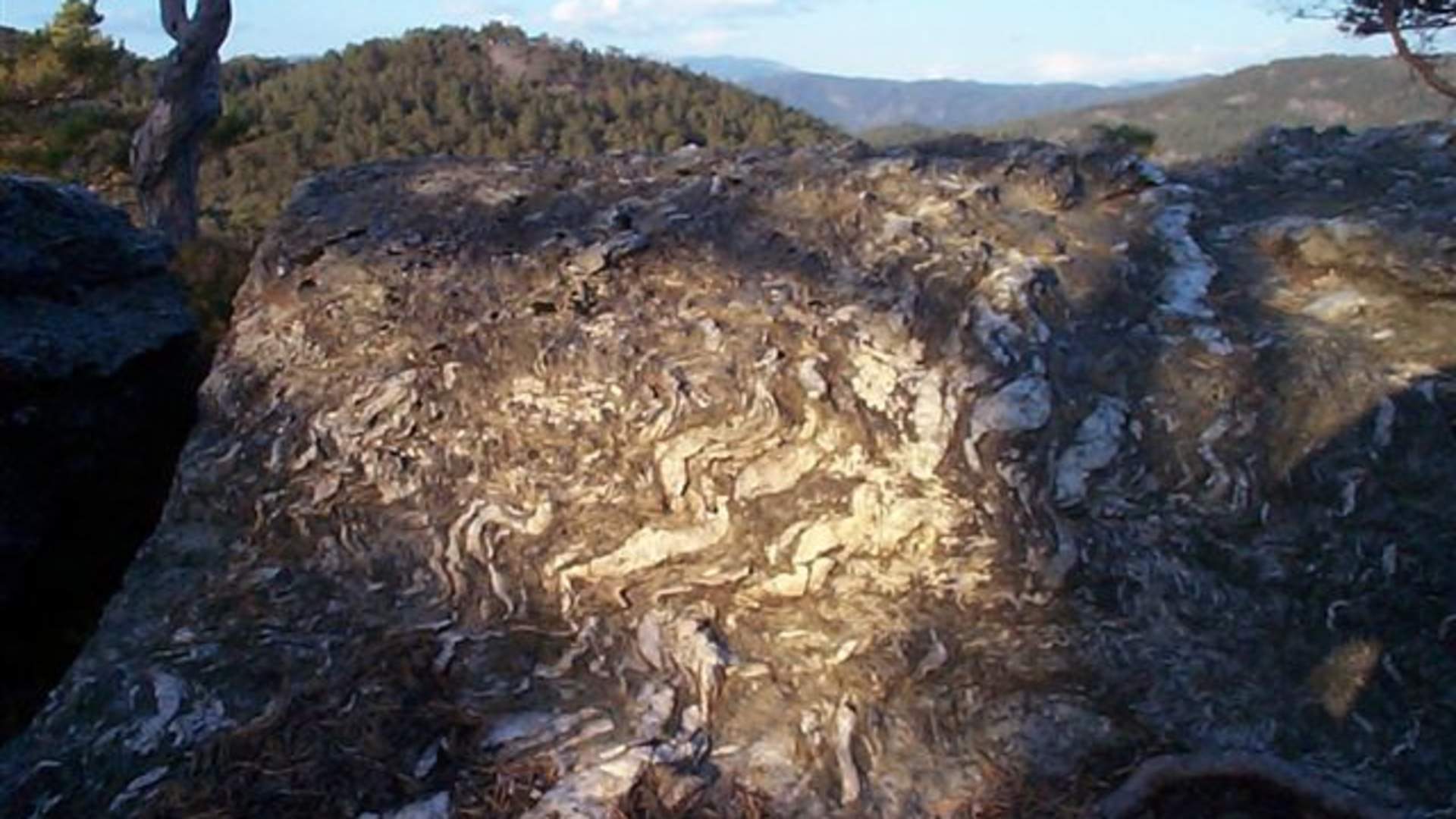 Wanderung nach Tjobergshaugen