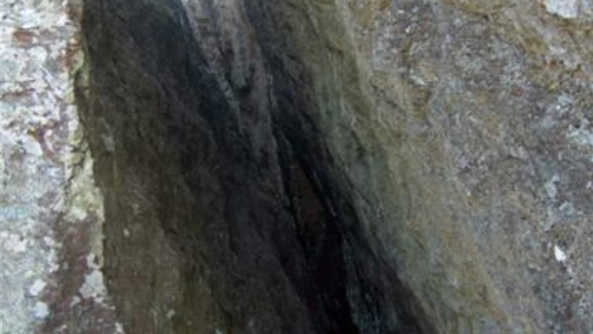 Wanderung nach Tjobergshaugen