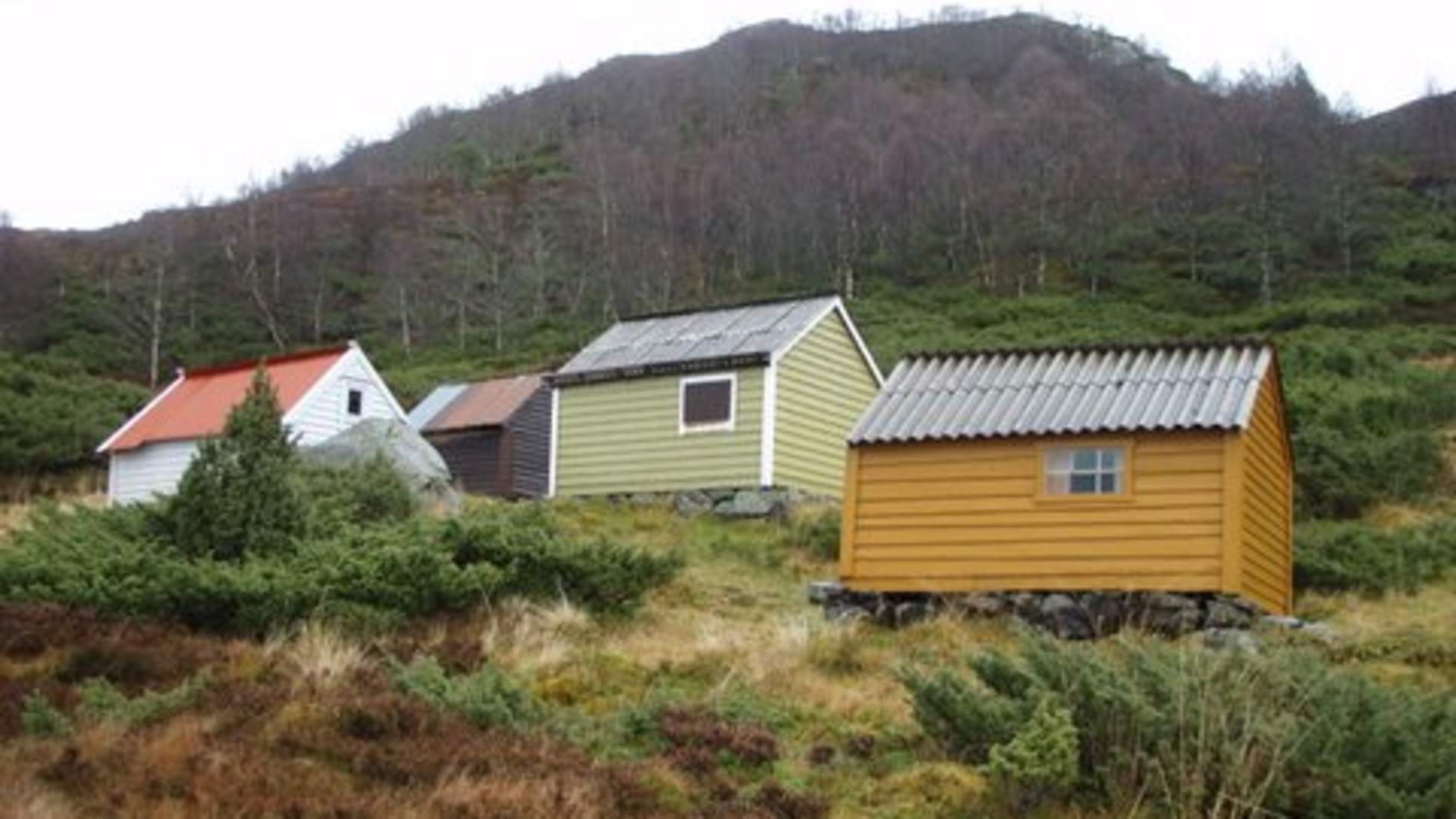Tursti til Strandasetra