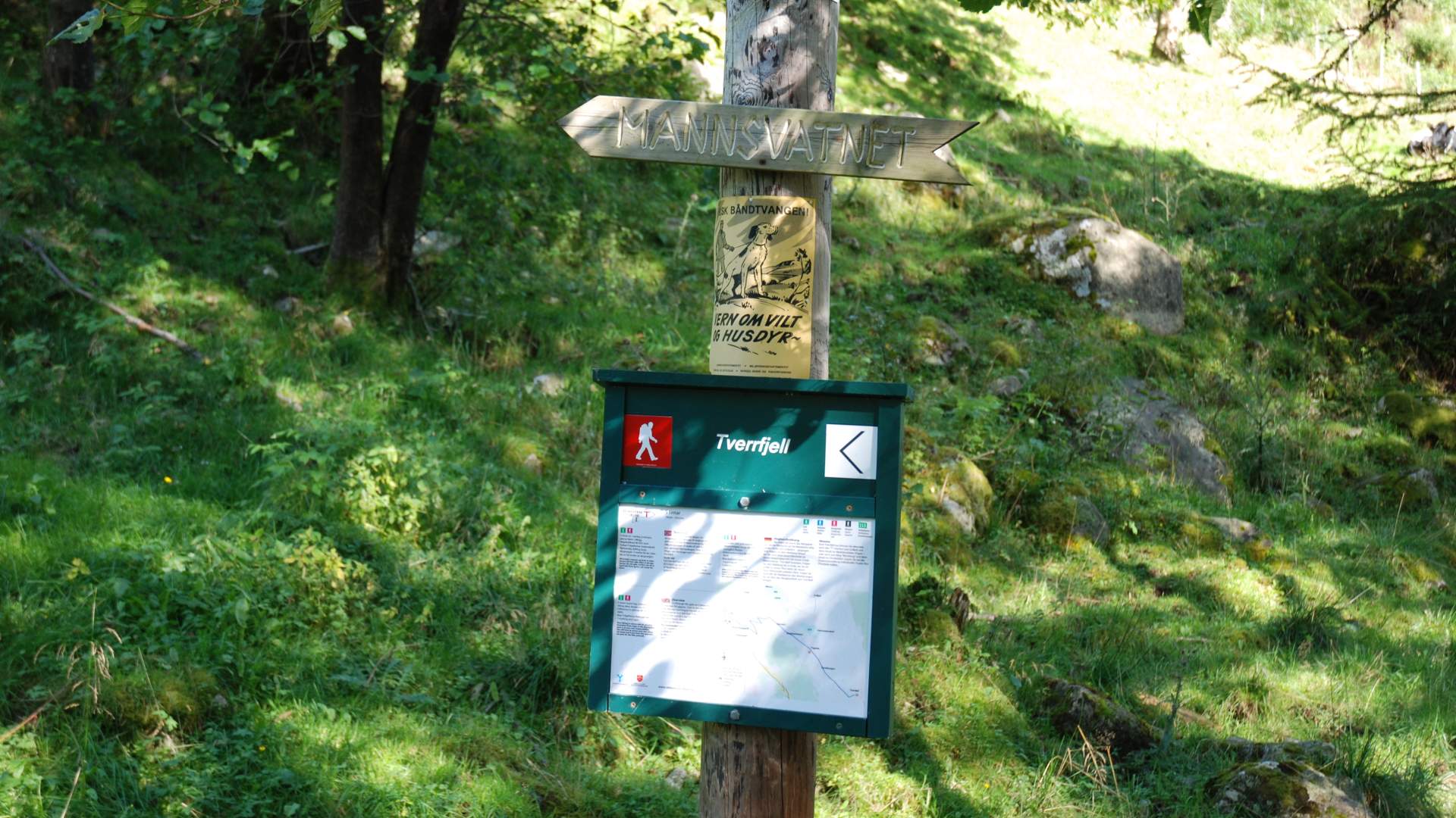 Hike to Tverrfjell from Uskedalen