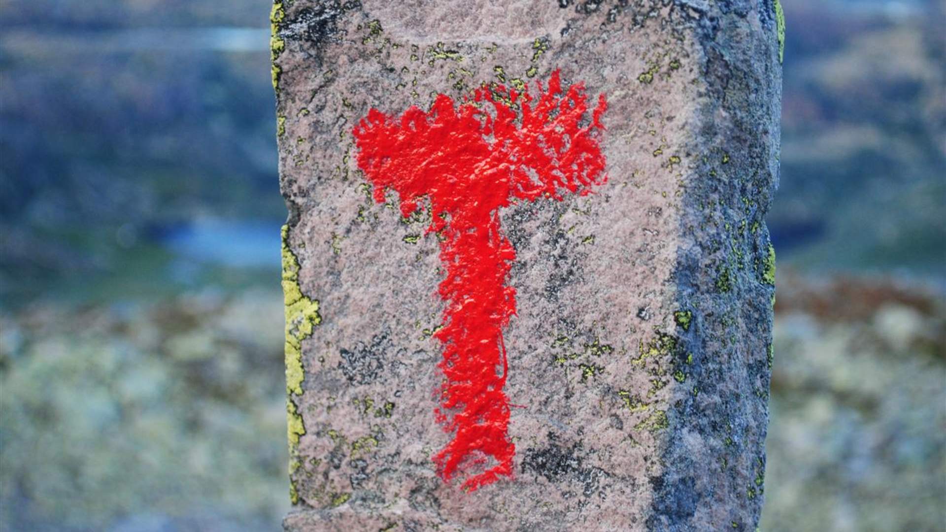 Wanderung nach Vikastølen