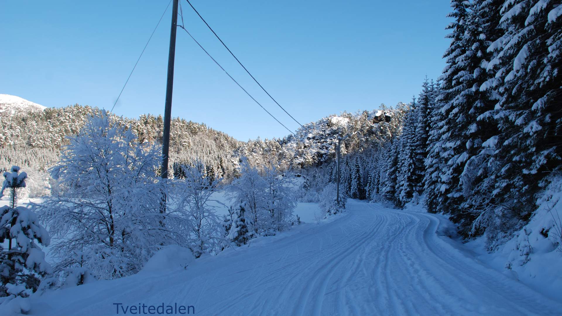 Tursti til lysløypa i Tveitedalen