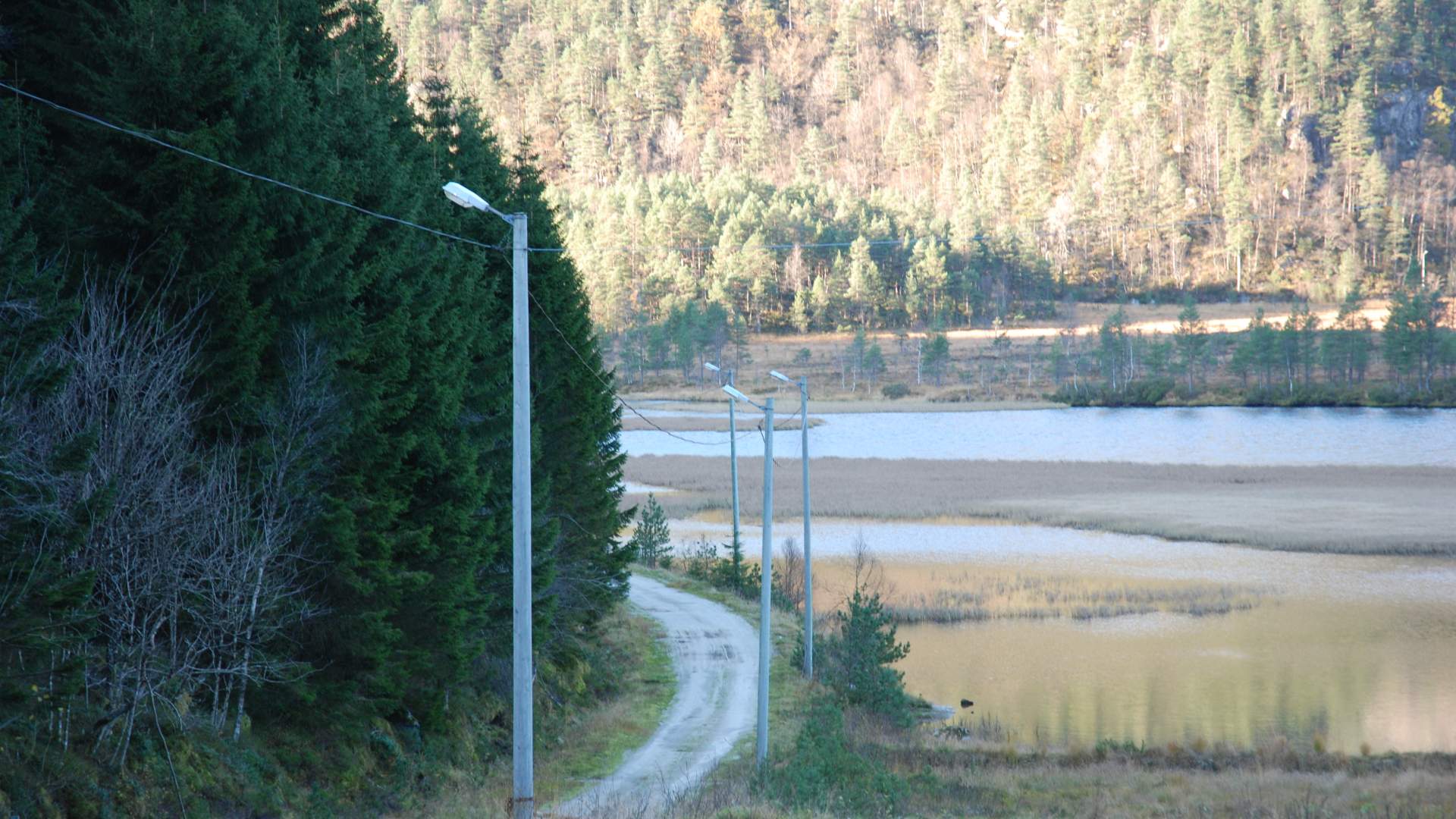 Tursti til Ulvanosa frå Utåker