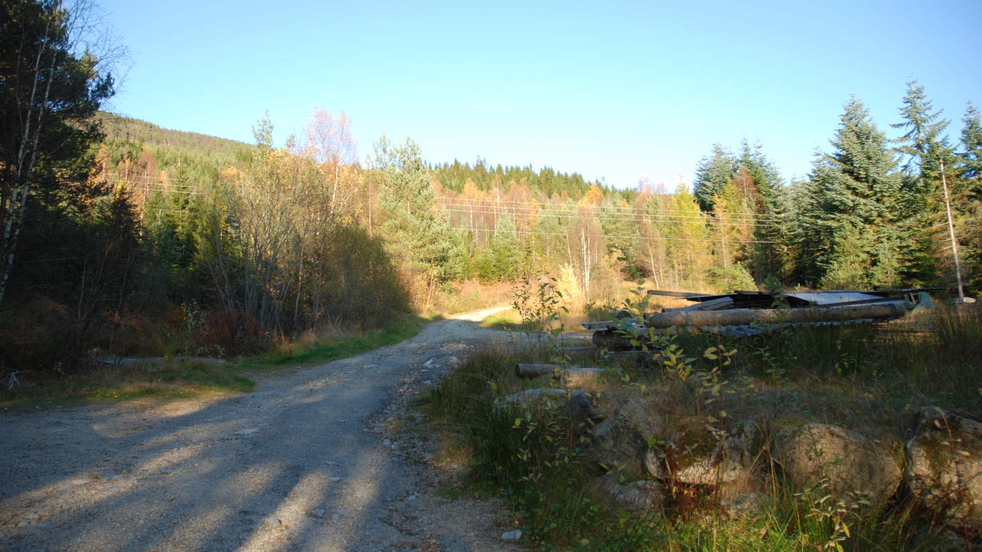 Tursti til Mjelkhaug frå Valen