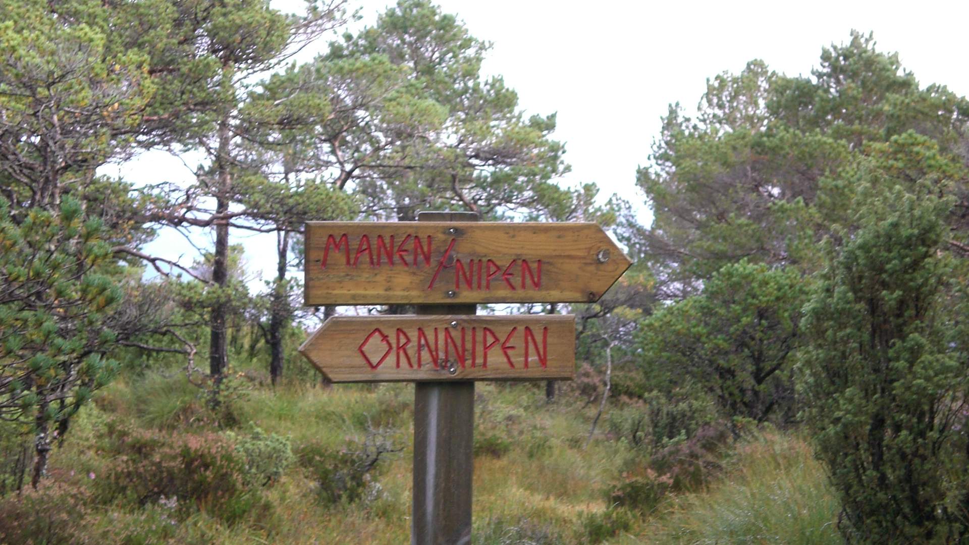 Tursti til Brakhaug og Ørnnipen