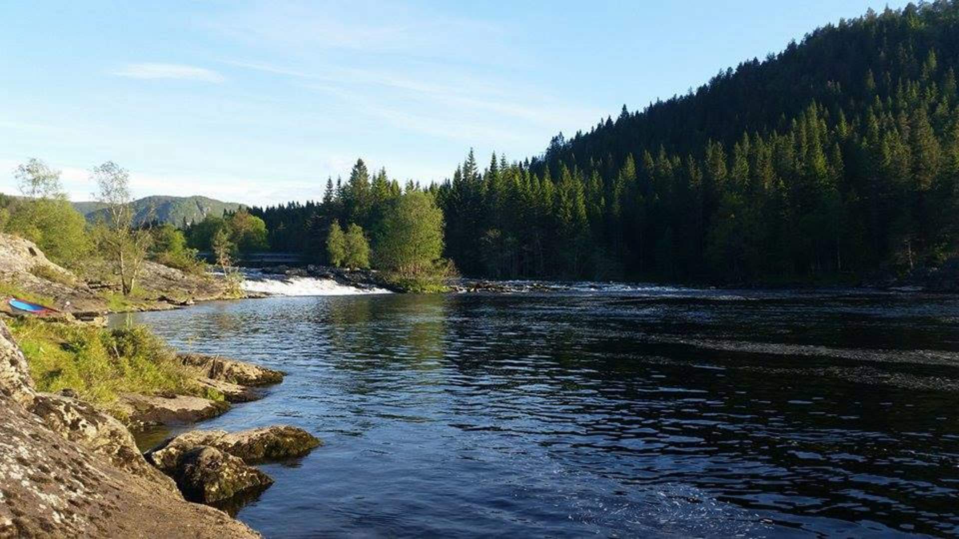Salmon Fishing - Hellebustfossen Cabins
