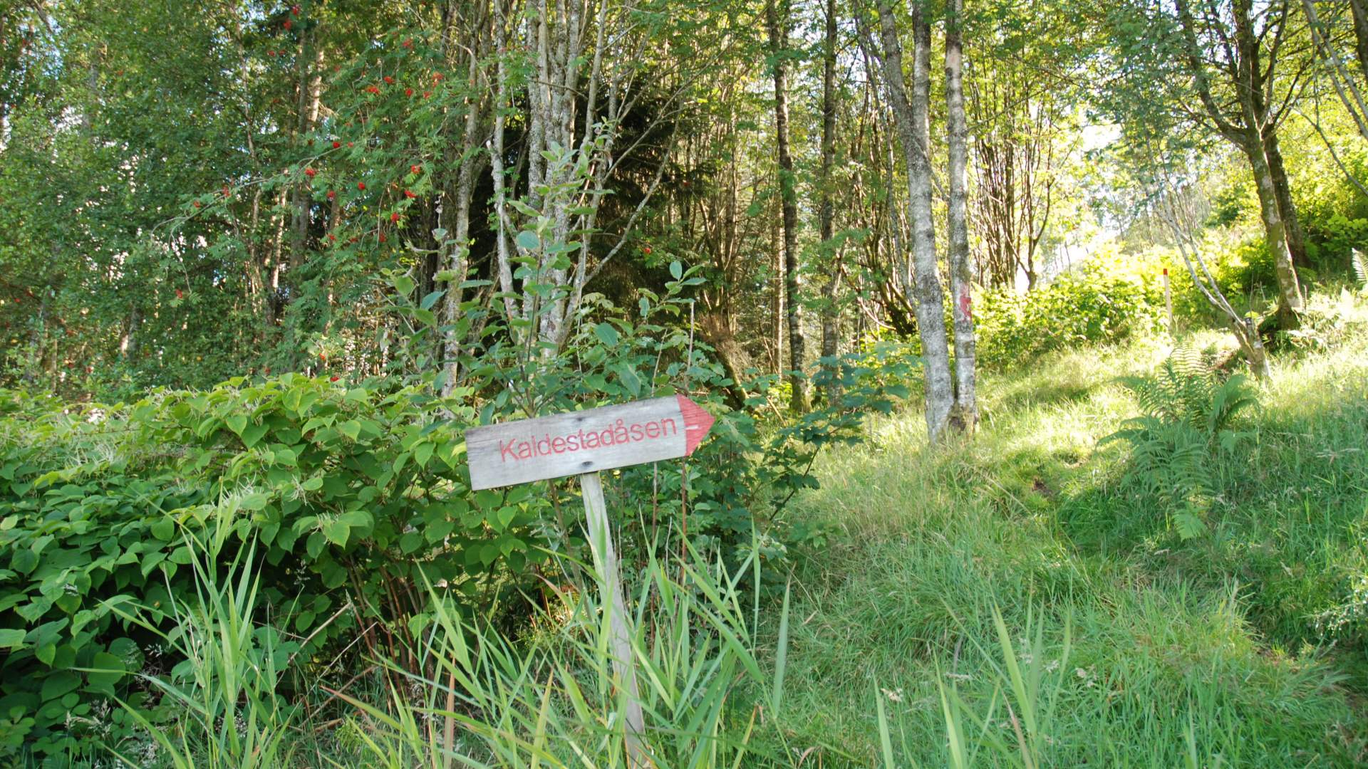 Hike to Kaldestadåsen from Kaldestad