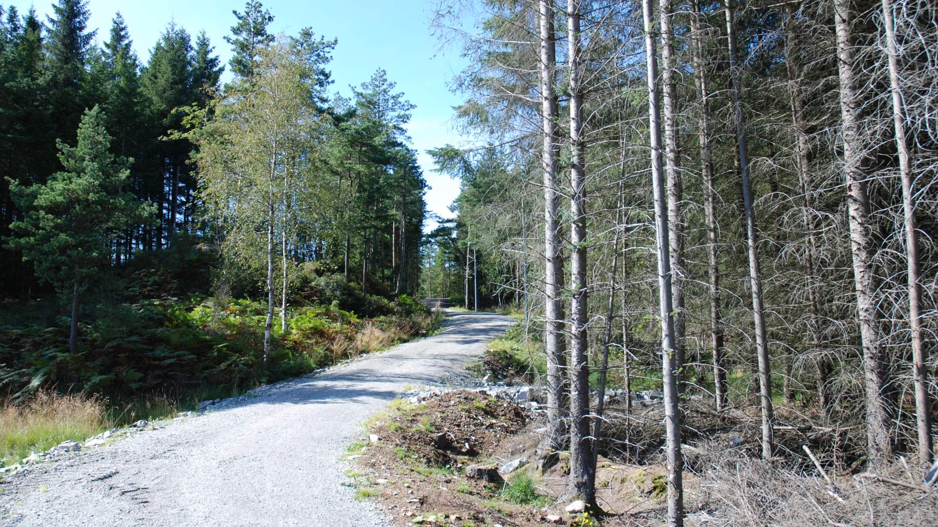 Wanderung nach Kaldestadåsen ab Podlen, Sunde