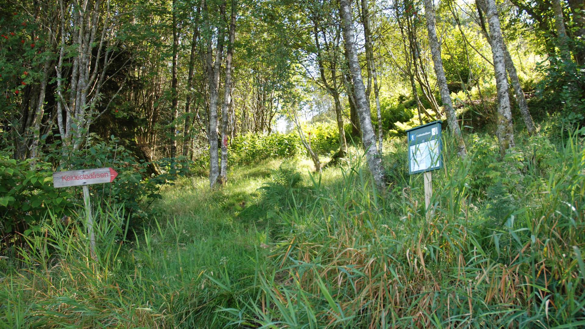 Hike to Kaldestadåsen from Kaldestad