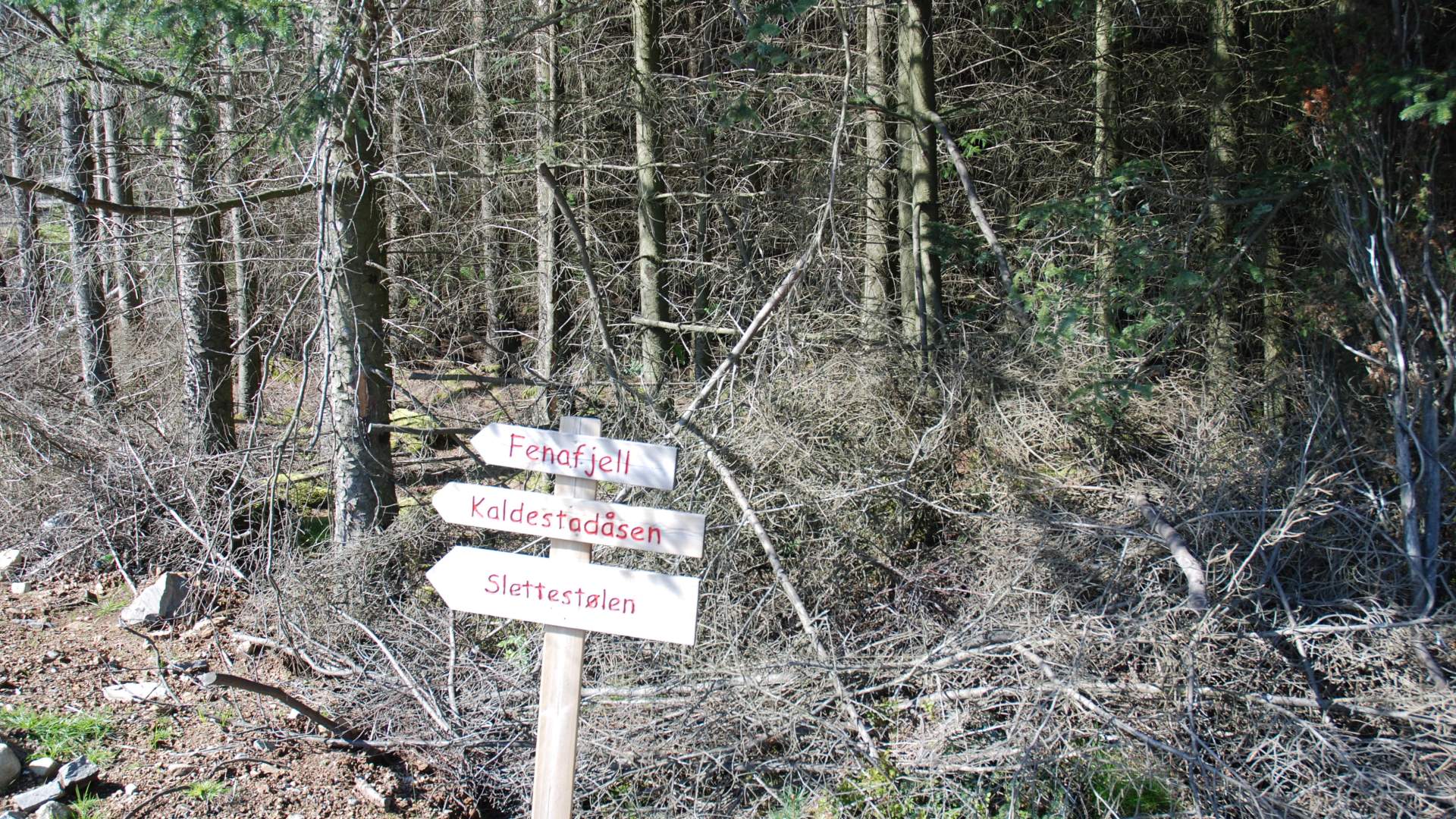 Wanderung nach Kaldestadåsen ab Podlen, Sunde