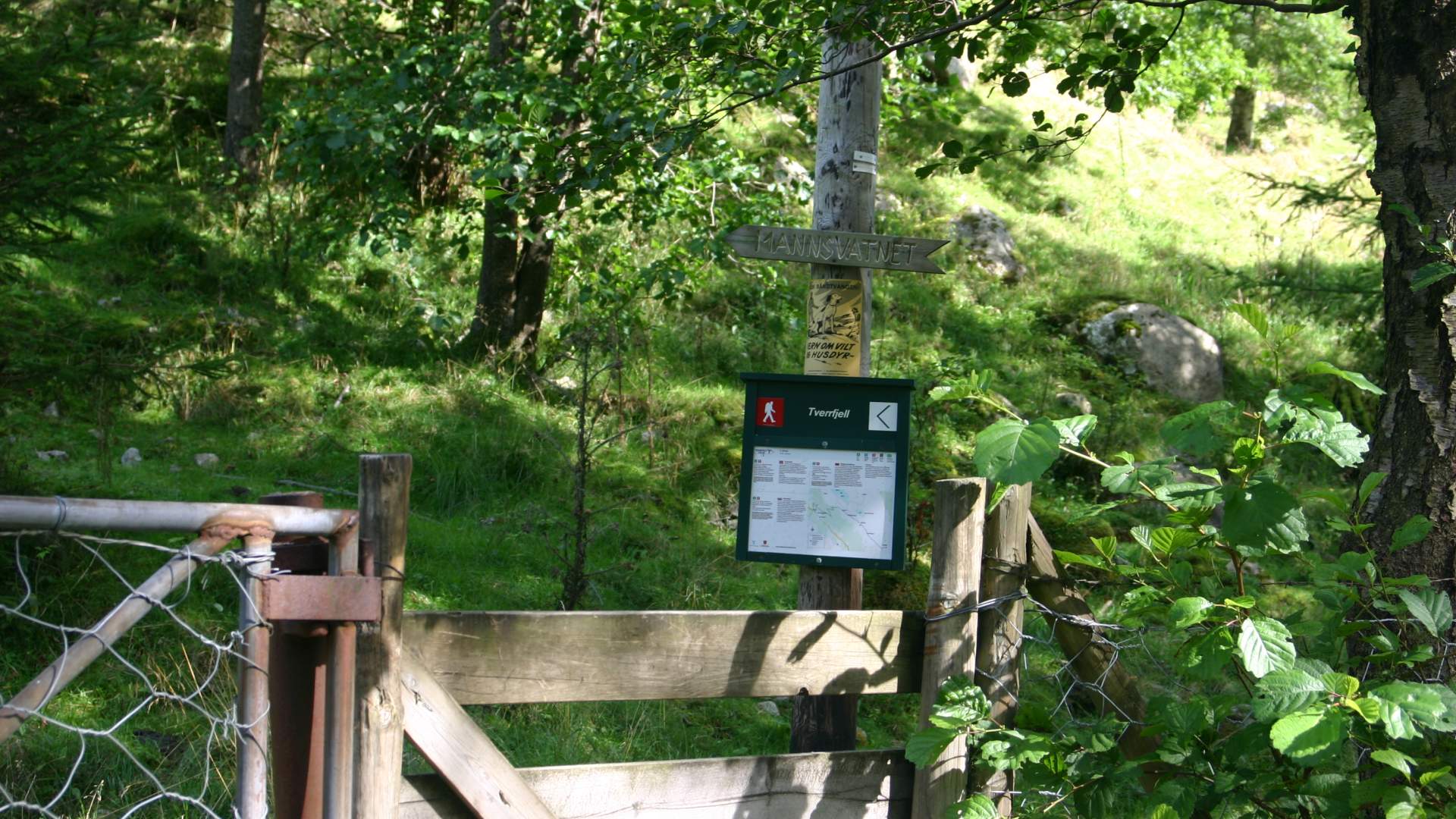 Sykkelrute i Uskedalen