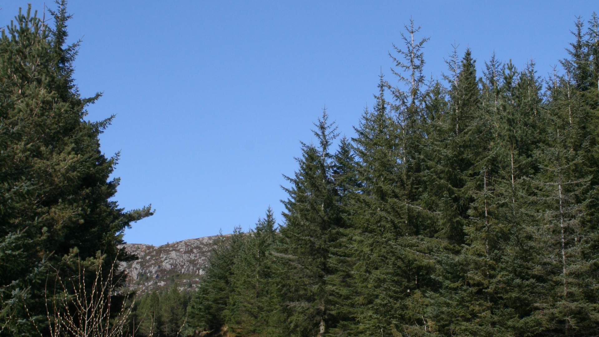 Bicycle route around Svartavatnet lake, Fitjar