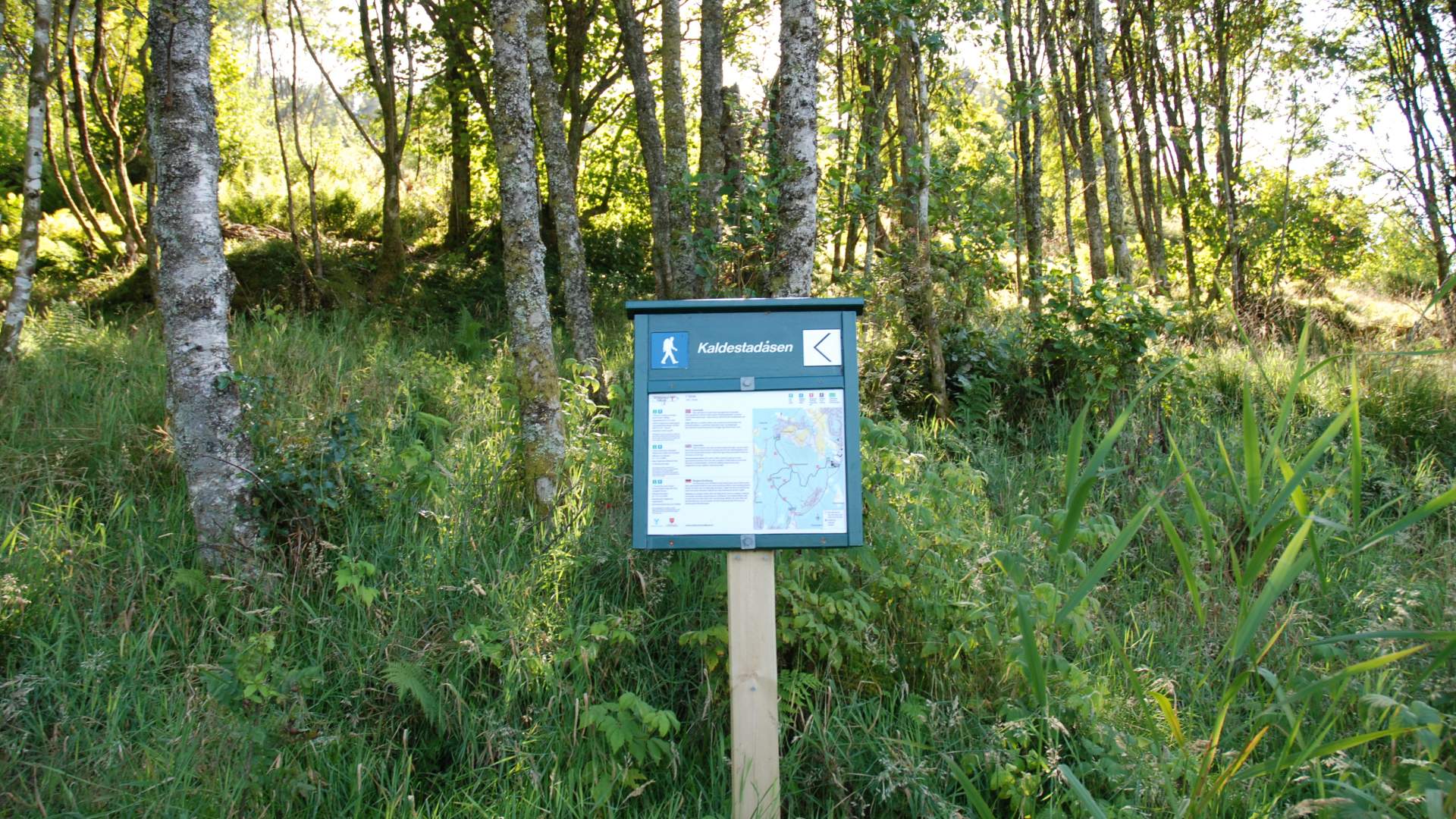 Hike to Kaldestadåsen from Kaldestad